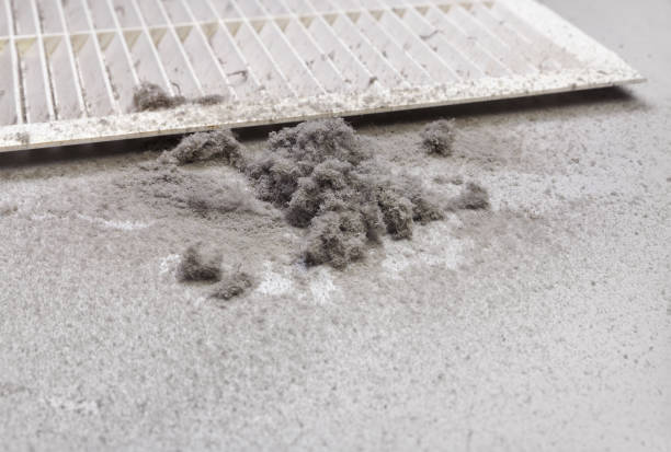 Best Air Vent Cleaning Services  in Clay City, IN